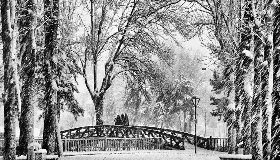 adapazari fotograf yarisma ‘Güzellikleriyle Adapazarı’ konulu fotoğraf yarışmasının sonuçları açıklandı