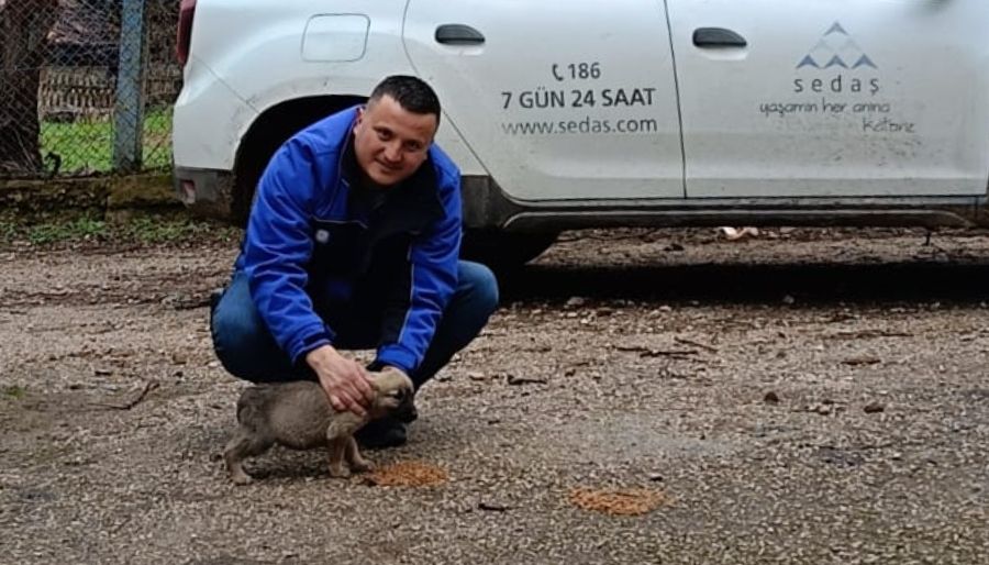 sedas sokak hayvanlari SEDAŞ saha çalışanlarından sokak hayvanlarına yardım eli