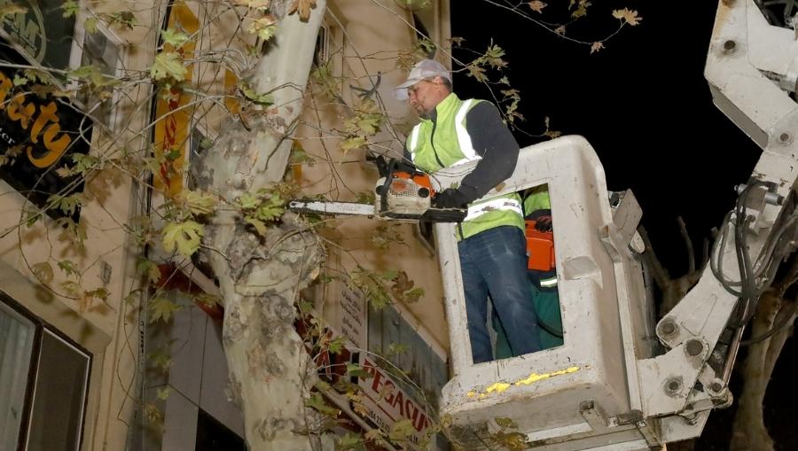 cark caddesi agac dubama Çark Caddesi’nde gece mesaisi