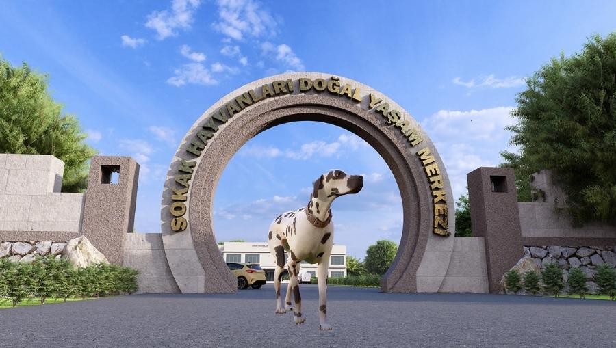 sokak hayvanlari dogal yasam merkezi 1 'Sokak hayvanları için doğal yaşam alanları oluşturulacak'