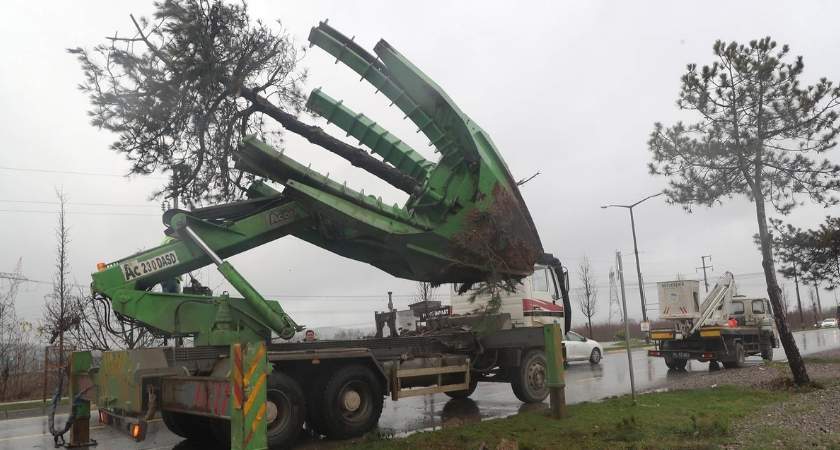 sakarya metrobus hatti yesil koruma Sakarya Büyükşehir’den Metrobüs Hattında ‘Yeşil’ Hassasiyeti