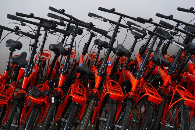 tubis yaz sezonu 3 Sakarya Büyükşehir TUBİS’leri rengarenk yaz günleri için hazırladı