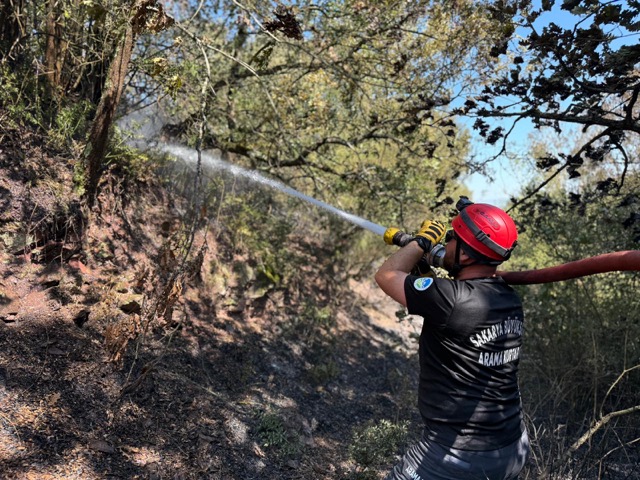 sakarya 4 saat 3 orman yangini kontrol altina alindi 1 1 4 saatte 3 orman yangını kontrol altına alındı