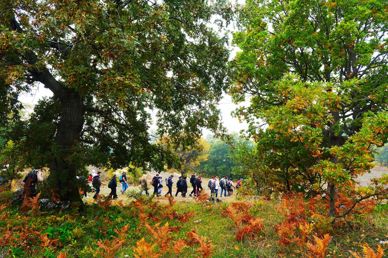 Yaylalardan longoz ormanlarına: Sakarya’da doğayla iç içe sonbahar