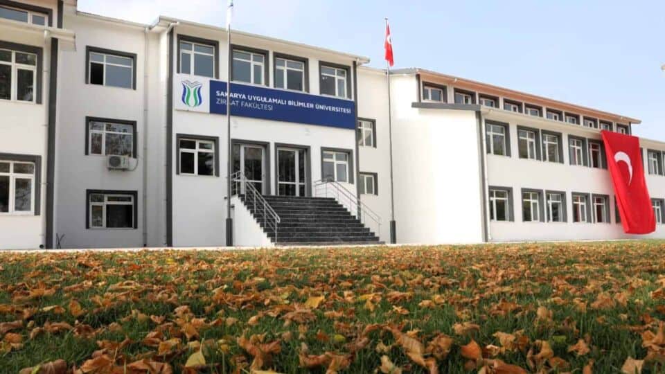 SUBÜ'de Ayçiçeğinde Biyoteknolojik Islahı Hızlandıracak Projeye TÜBİTAK Desteği Sağlandı