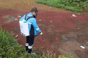 ekip sahaya indi sehrin her karisinda mucadele basladi 506dcaf7 1 Sakarya Büyükşehir’den Şehrin Tamamında Haşere ve Zararlılarla Etkin Mücadele