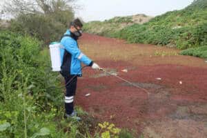Sakarya Büyükşehir’den Şehrin Tamamında Haşere ve Zararlılarla Etkin Mücadele