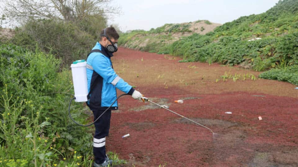 Sakarya Büyükşehir’den Şehrin Tamamında Haşere ve Zararlılarla Etkin Mücadele