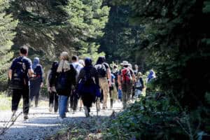 inonu ve ercova yaylalari tum guzelligiyle dogaseverleri agirladi 95e86bee İnönü ve Ercova Yaylalarında İlkbahar Yürüyüşleri Doğaseverlere Unutulmaz Anlar Yaşattı